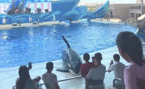 ���غ���԰���ģ�ͨ��28ƪ��