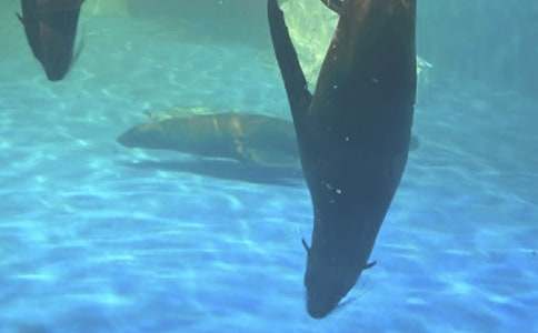 ����԰һ��������(�ϼ�15ƪ)