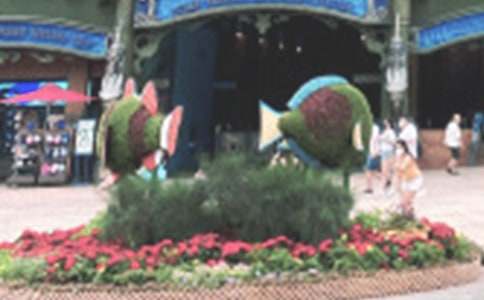 极地海洋公园游记作文