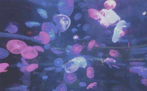 ����԰����[����]