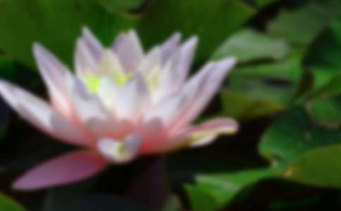 �йغɻ�д�������Ļ�����ƪ