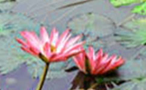 ���ںɻ�д�������Ľ���5ƪ