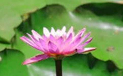 �йغɻ�д��������3ƪ