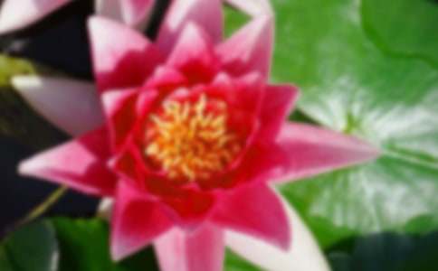 �ɻ�д�����ġ�ʵ�á�