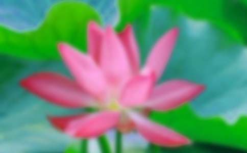 �Ұ��ɻ�����(15ƪ)