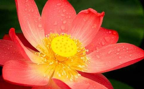 ���Ƽ����ɻ�д����������ƪ