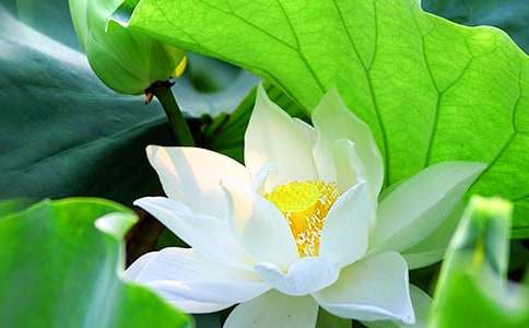 ��ϲ���ɻ������ģ���ѡ95ƪ��