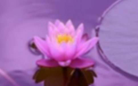 ����ѡ����г������300��5ƪ