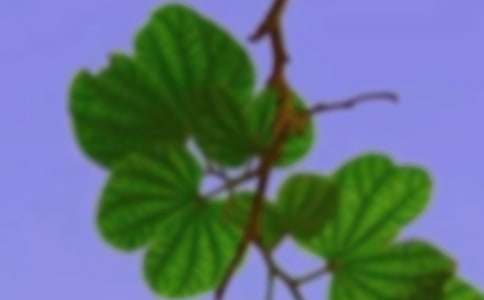 �����г�ദ������