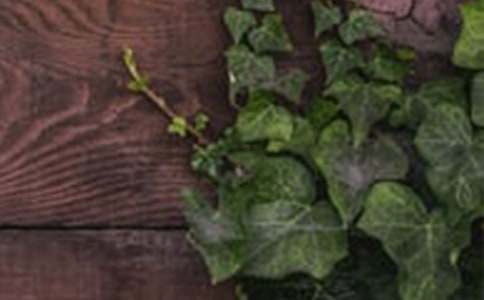 ��г���꼶����