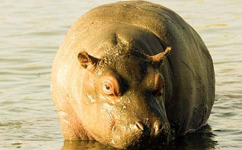 ǧ����ú�����С��˯ǰ����