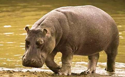 ����������С����˯ǰ����