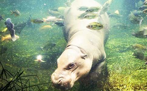 ���ĵĺ���үү˯ǰ����