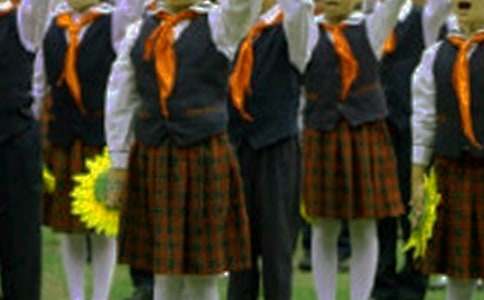 红领巾争章事迹