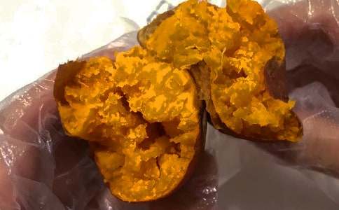 家乡的红薯作文600字4篇