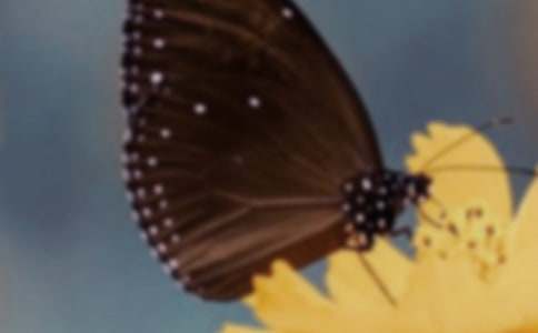 ������������300�ּ�����ƪ