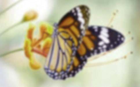 [��]����������