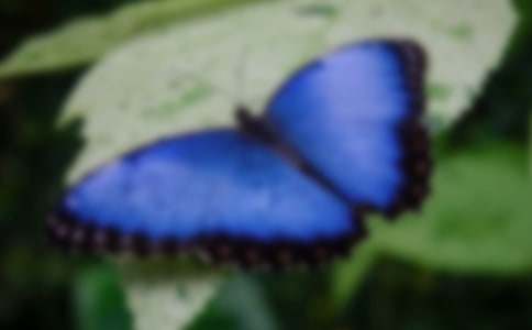 ����ѡ����������300��6ƪ