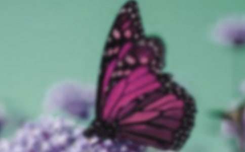 ��д��������