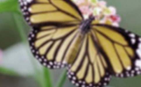 ���ȣ���������8ƪ