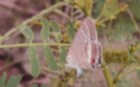 ����������300��5ƪ