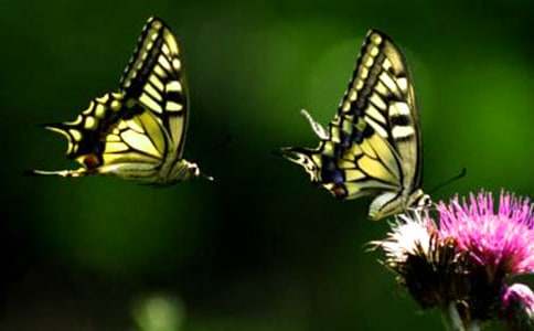 ���ر�����������300��5ƪ