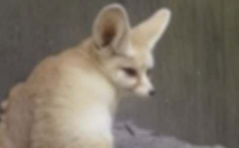 ��������³�˯ǰ����