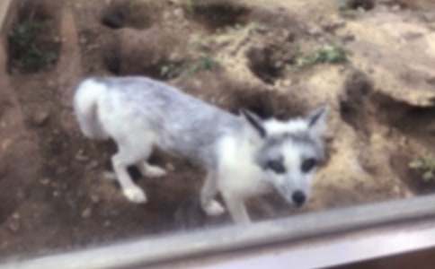 �����Сè����(13ƪ)