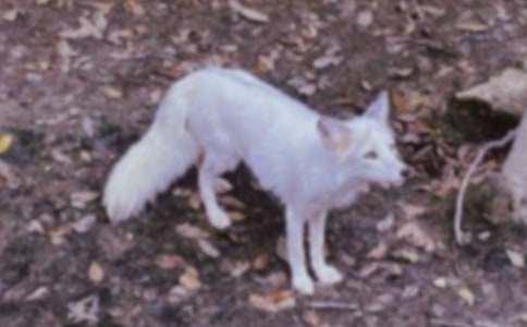 �����С������������400��