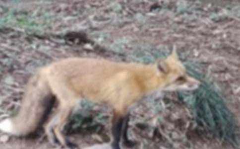 Сè�ͺ�������15ƪ