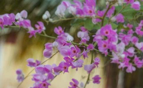 ���ڼ�����Ļ������ľ�ѡ15ƪ