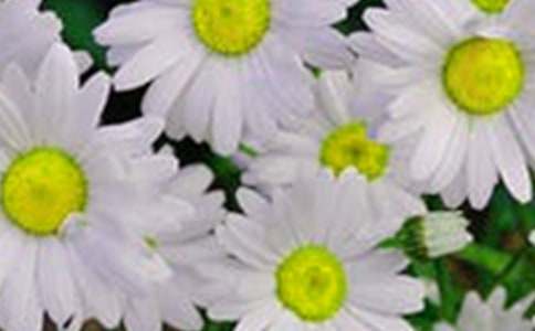 ������Ļ��䡷�ۺ��