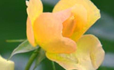 �������Ƕ�Ѥ���Ļ�������