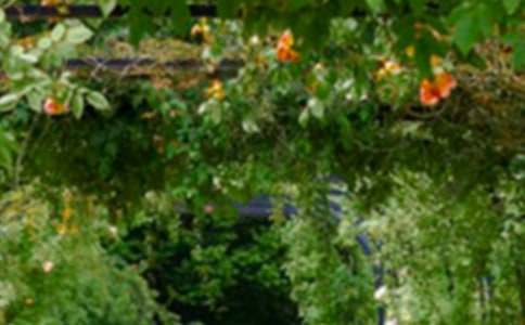 ��԰���ļ����ģ�ͨ��51ƪ��