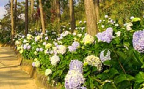 ������԰����600��