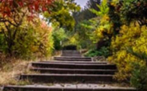 [�Ƽ�]д����԰����6ƪ