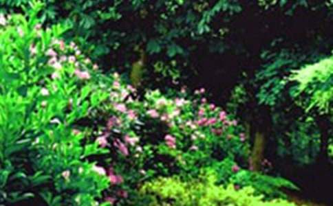 写景花园作文优选(4篇)