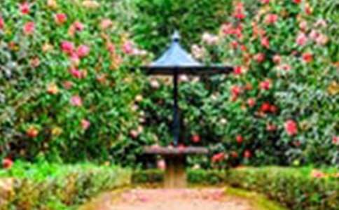 �����Ľ��Ļ�԰����