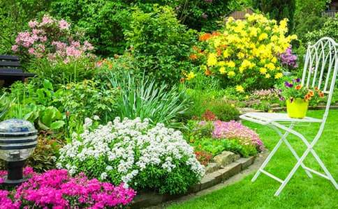 ������԰����600�־�ƪ