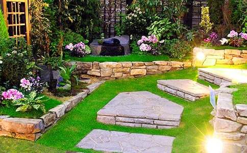 美丽的大花园作文