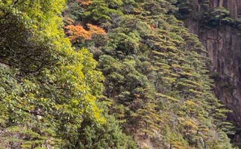 有关黄山的作文600字4篇