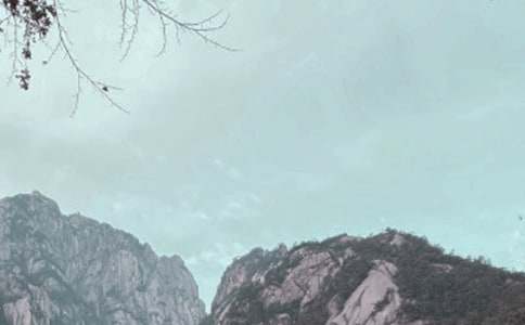 ��ɽ������300�־�Ʒ��5ƪ��