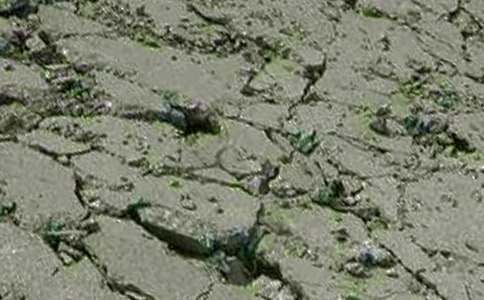 ����������վ�����ܽᣨͨ��16ƪ��