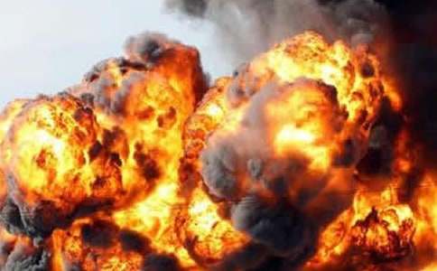 ���������Ų����ι����ܽ�