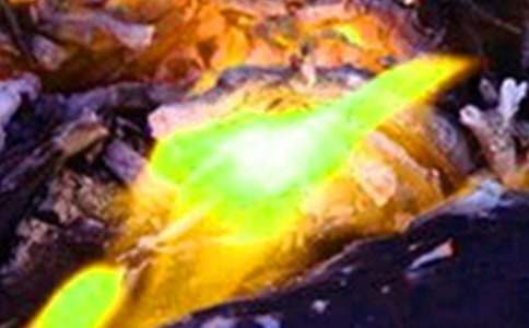 �������ַ��ع����ܽ�15ƪ