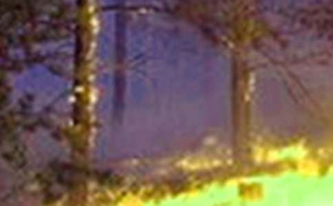 ��లȫ���������̰�