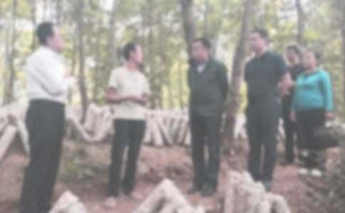 ���ڼͼ첿�����ƻ�