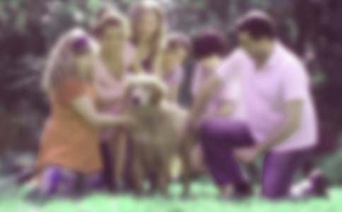 幼儿园第一学期家庭教育工作总结