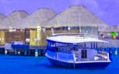 2022���м��ڸ���ѧϰ�ƻ�5ƪ