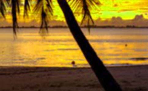 ����Ȥ������600�֣�ͨ��36ƪ��